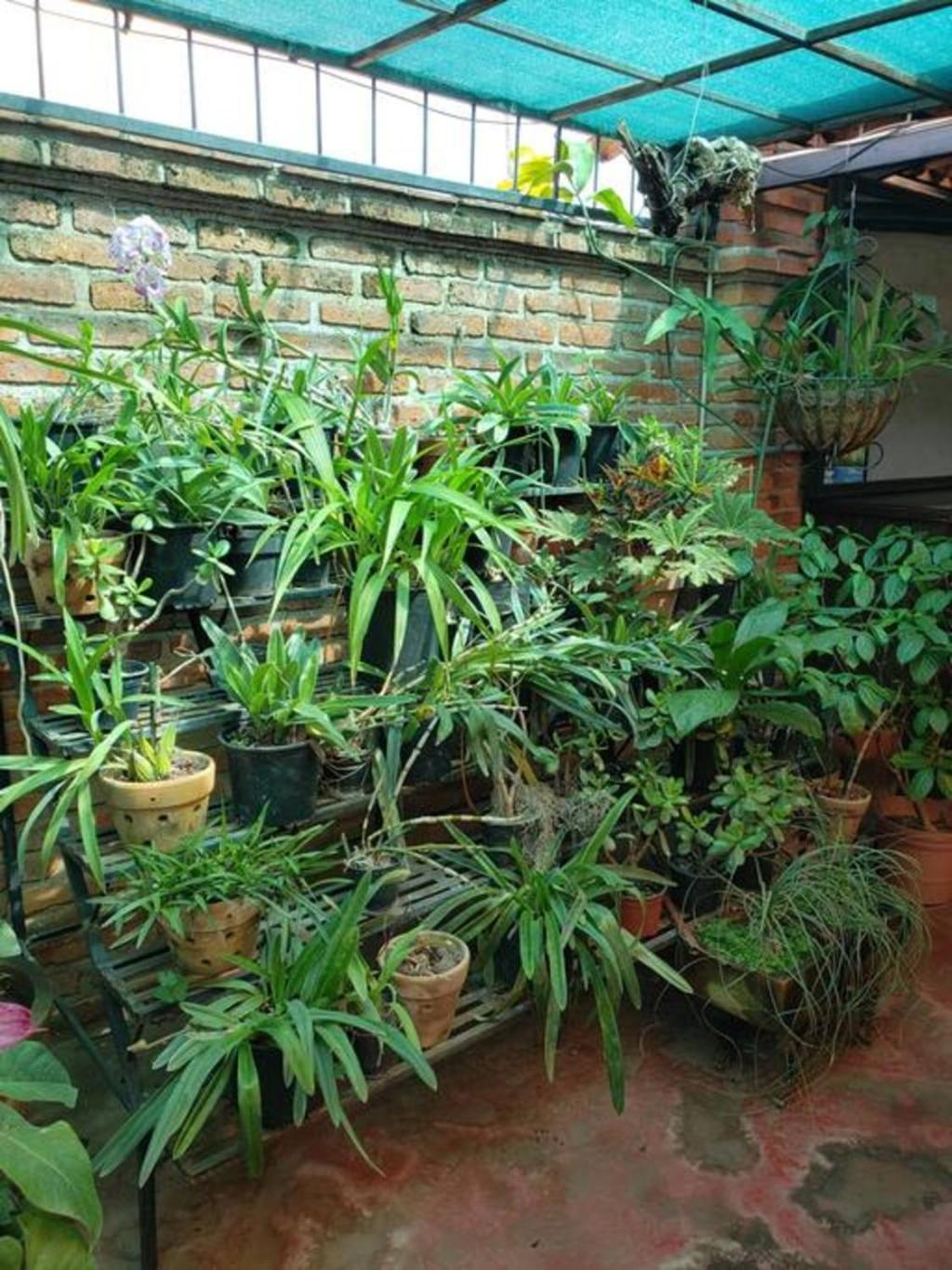 Enjoy Ac In The Penthouse At Inn อาจิจิก ภายนอก รูปภาพ